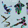 Various colors of weaver