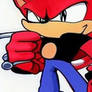 Chrono the Hedgehog with the Sacred Amulet 