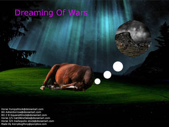 Dreaming Of Wars