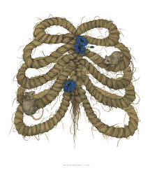 Deviantart Human Knot Explore the Best Knot Art | DeviantArt