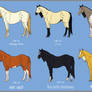 QH Adoptables CLOSED