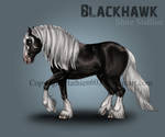 Blackhawk Reference by Hathien603