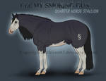 Cee My Smoking Gun Ref by Hathien603