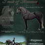 Touch of Romance Stallion Ad
