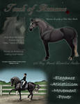 Touch of Romance Stallion Ad by Hathien603