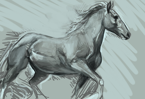 Blue Roan Scribble