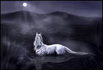 Kelpie at Night by howlinghorse