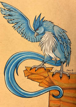 Articuno Drawing