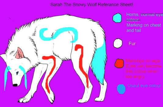 Sarah The Snowy Wolf Referance Sheet