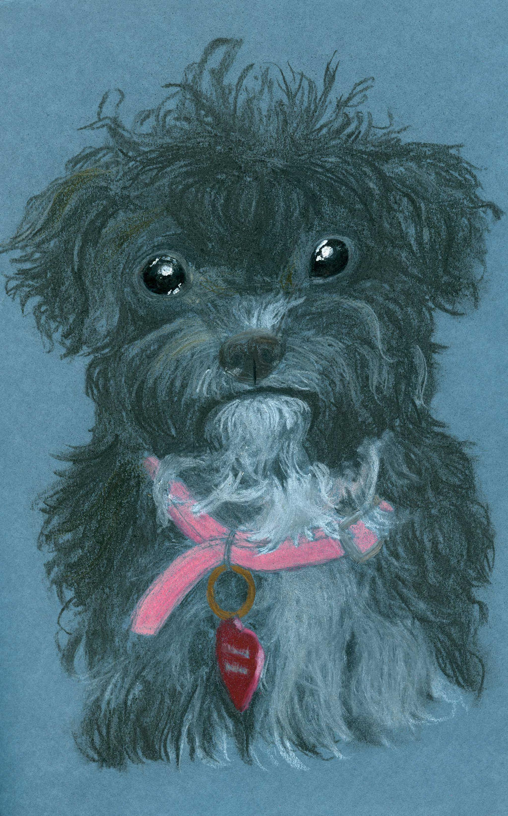 Yorkipoo Mixed Media