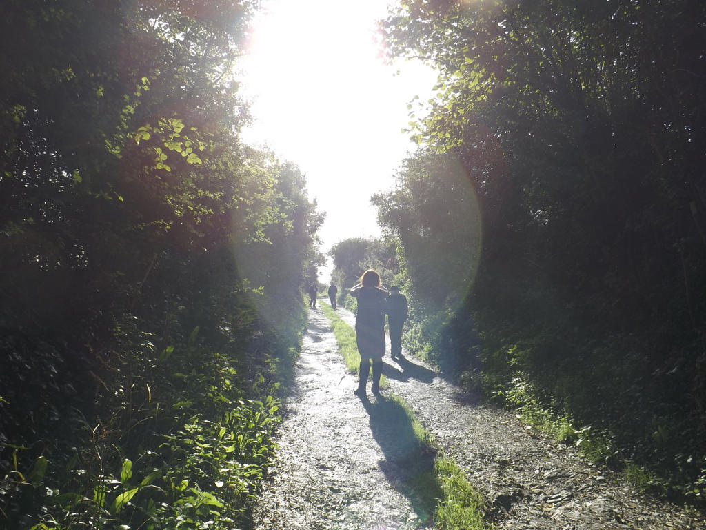 Our Path to Delight by Alan by CamelNature on DeviantArt