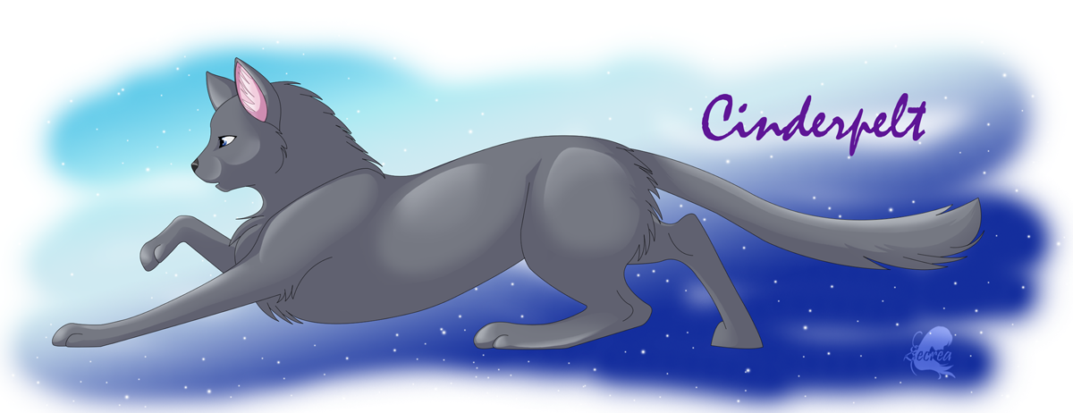 Warriors - Cinderpelt