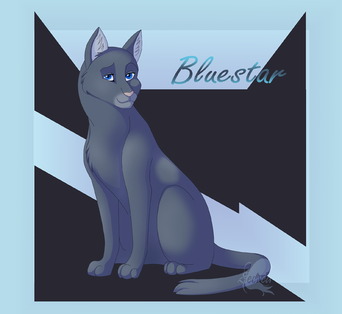 Bluestar by Muzli on deviantART  Warrior cats, Warrior cats art