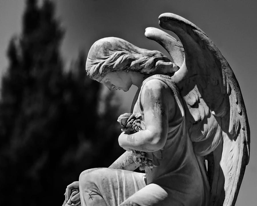 Статуя ангела за окном Статуя ангела за окном