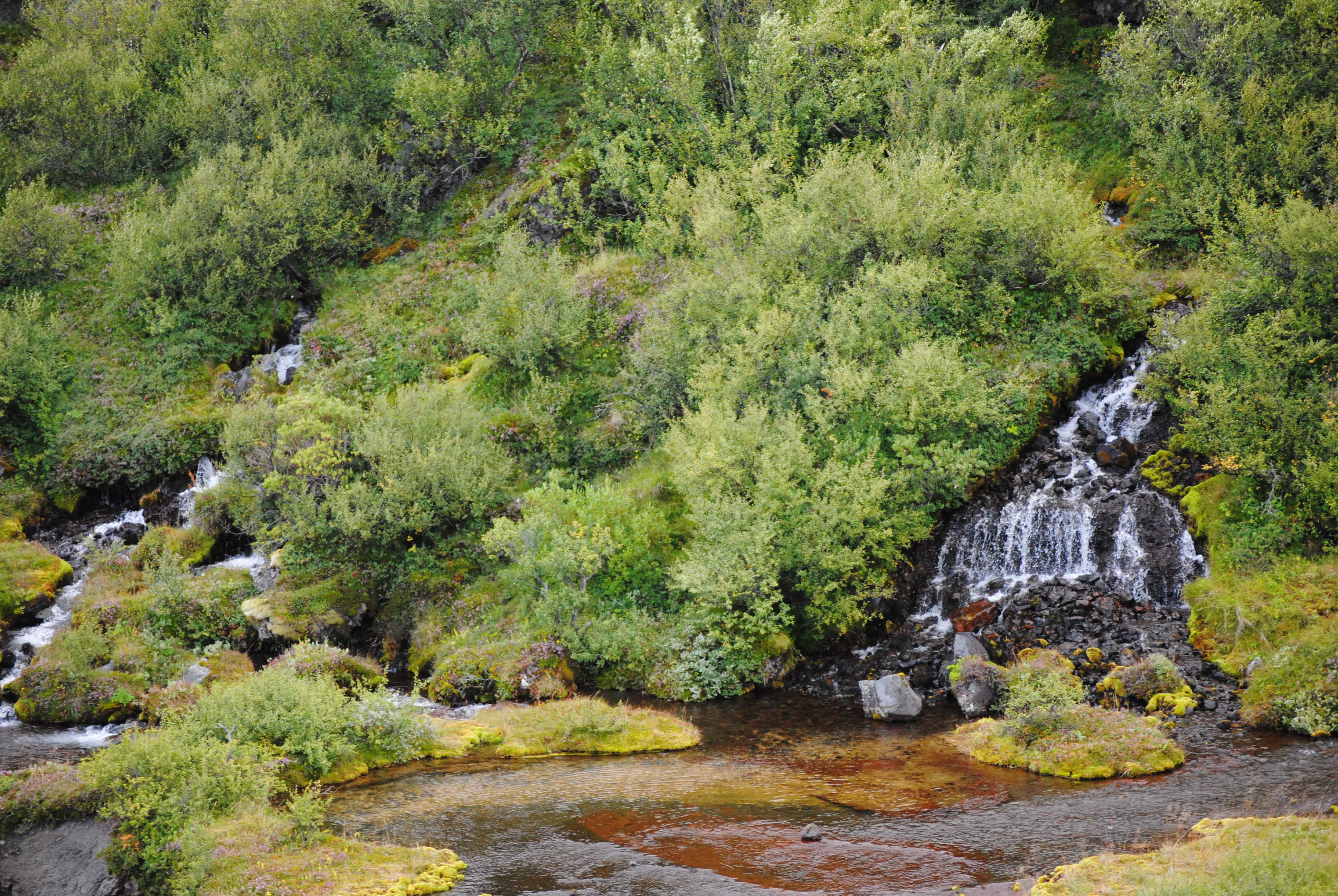 Iceland Photos 218