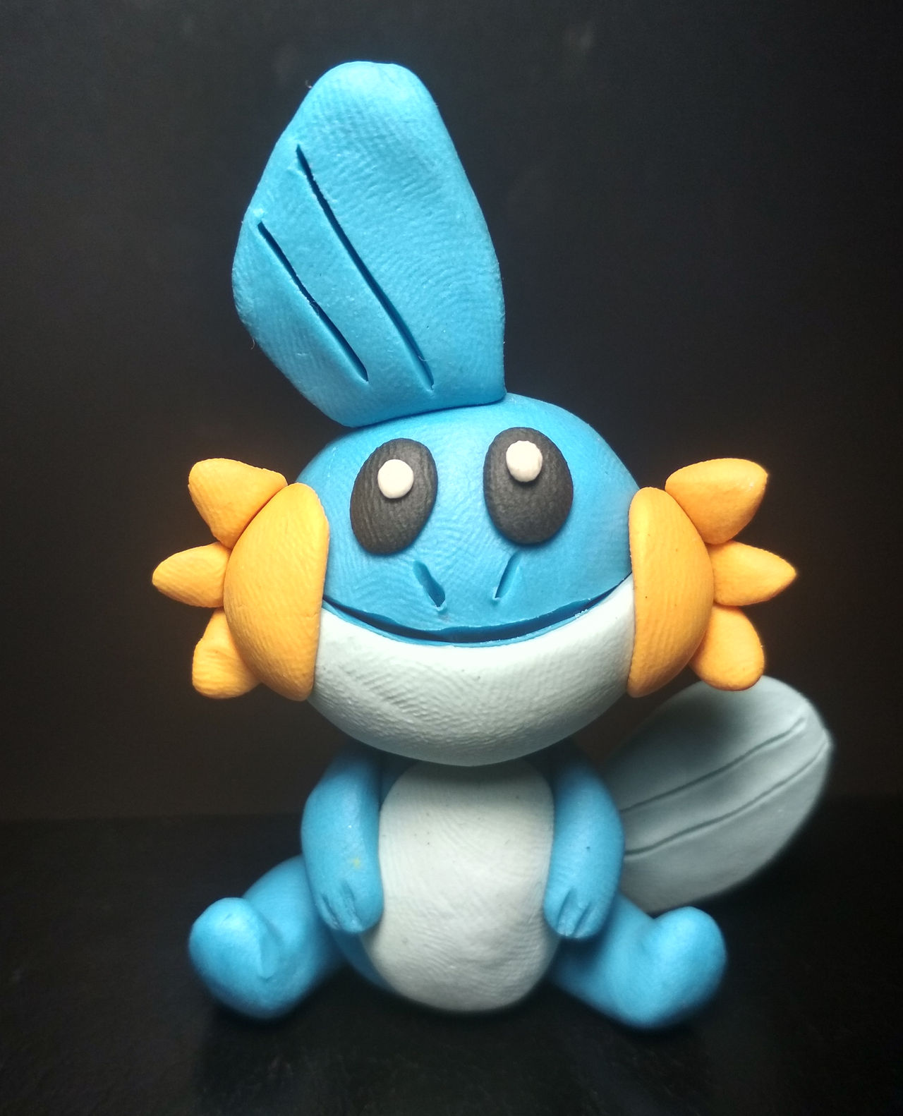 Mudkip Rug Mudkip by LuckyCloversArt on DeviantArt