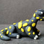 Salamander Dino