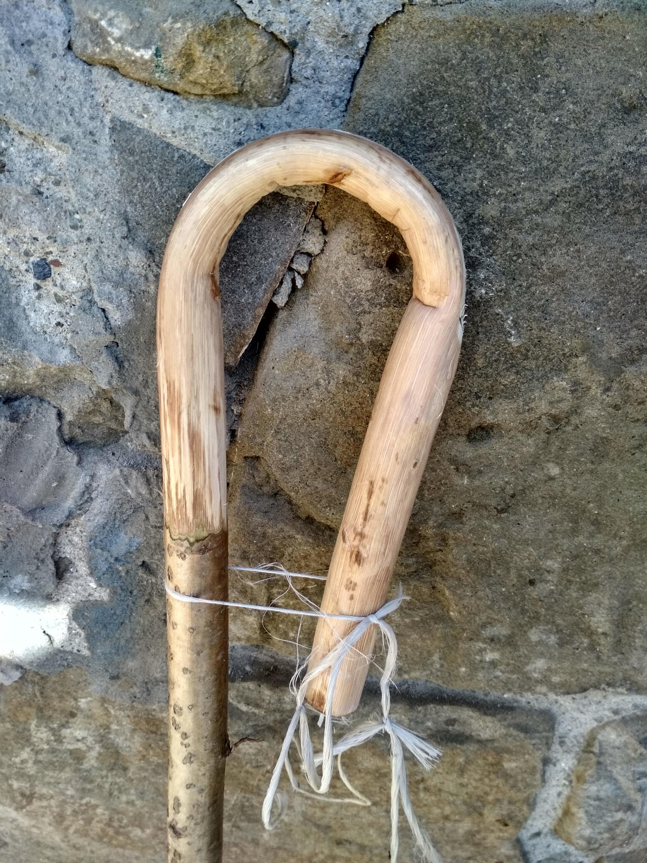 Shepherd crook by LuckyCloversArt on DeviantArt