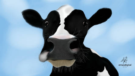 Cow