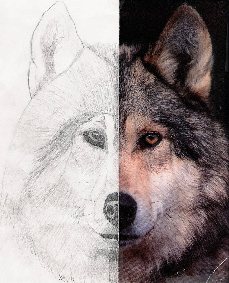 Double Vision by BroknShadows on DeviantArt