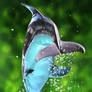 Dolphin