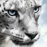 Snow Leopard - Moar Snow ver.