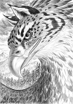 Gryphon portrait