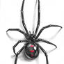 Black Widow tattoo