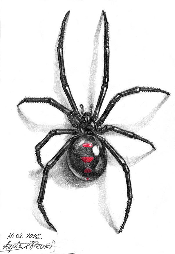 Black Widow tattoo by lapislazuri on DeviantArt
