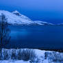 Kaldfjorden in Blue
