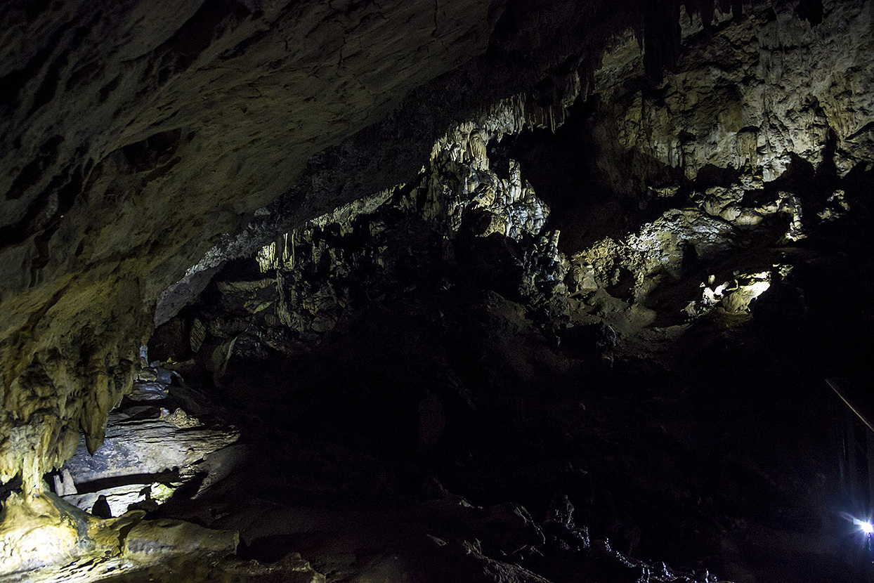 Google Arts & Culture deschide accesul virtual către Peștera Chauvet, Capela Sixtină a preistoriei