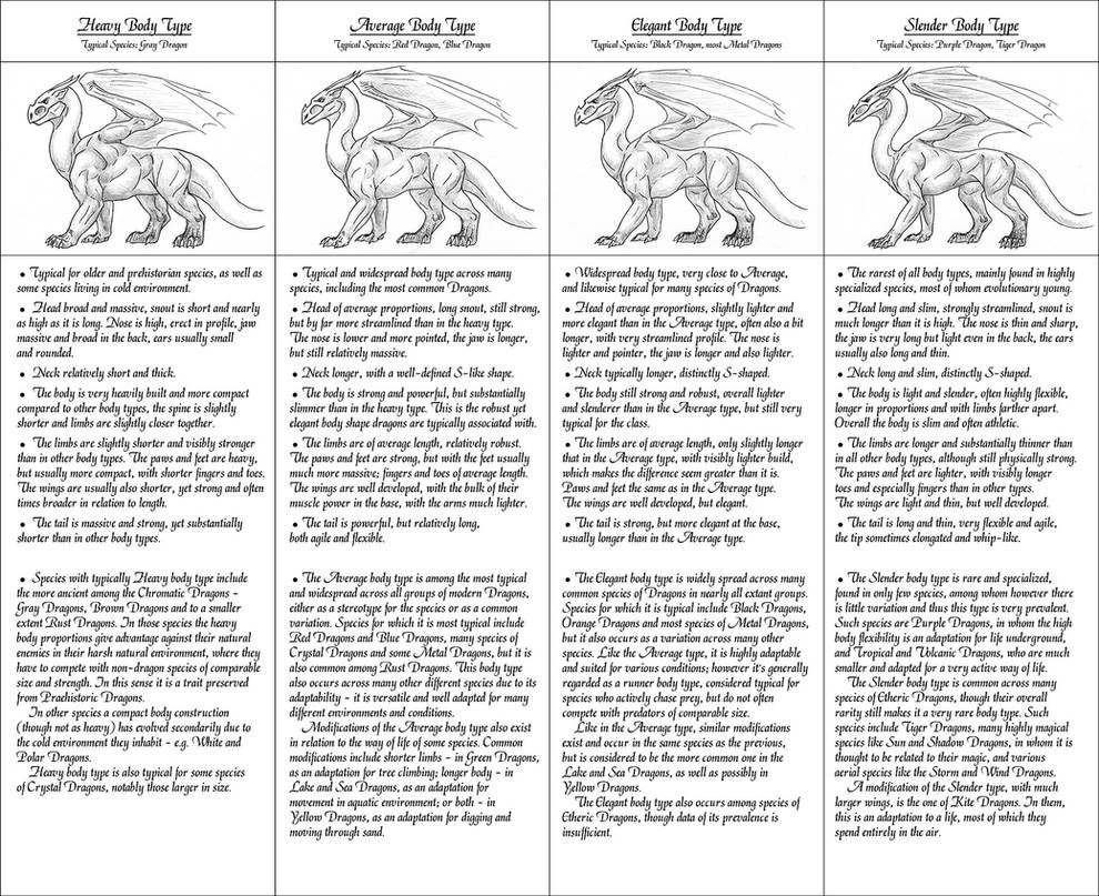Dragon Morphology Body Type comparison chart by lapislazuri on