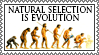Natural Selection stamp 2 by lapis-lazuri on DeviantArt