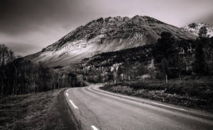 Sultinden journey - b/w