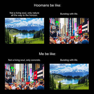 Me vs Hoomans on Life