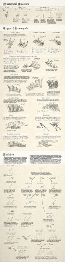 Dragon Ornaments - Anatomy, Structure, Evolution