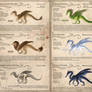 Wyvern species