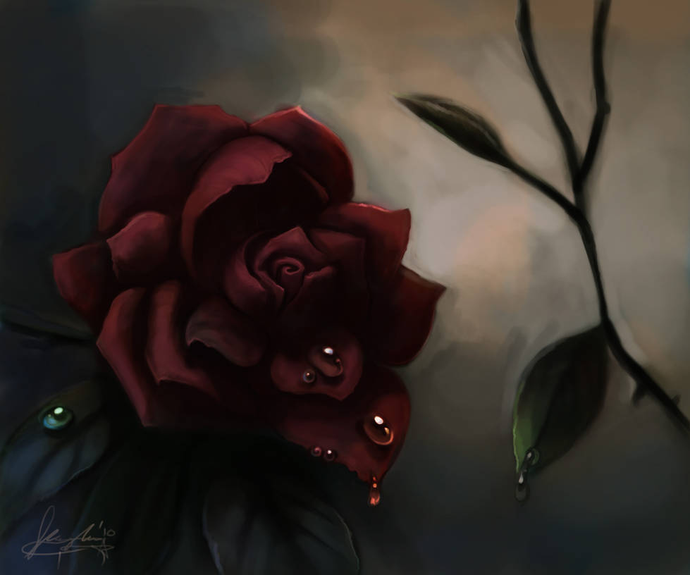 kiss from a rose by kaphrin