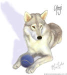 Yogi the utonagan by emorei