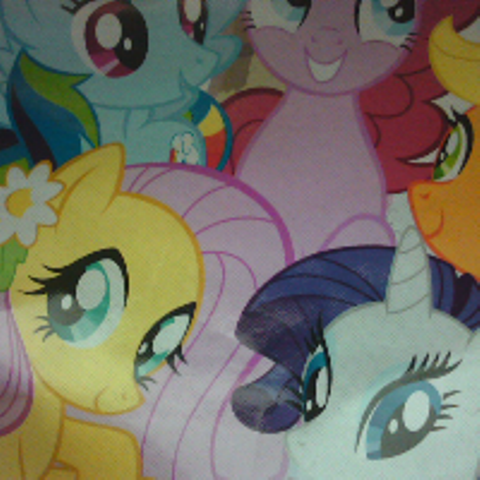 mlp reusable bag