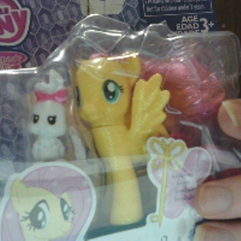 elements of friendship fluttershy