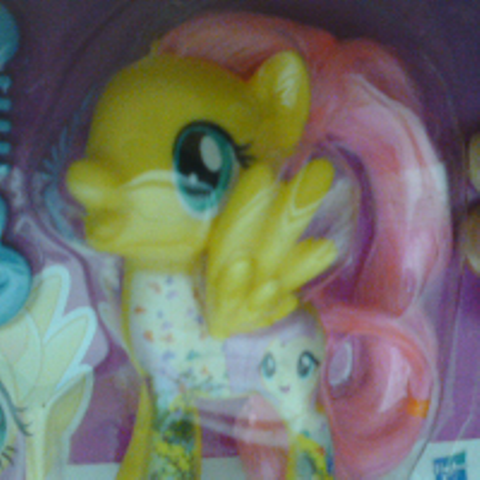 all about fluttershy