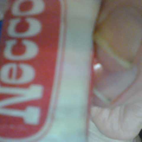 necco wafers