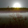 Misty Morning Sunrise