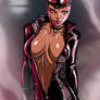 Catwoman: Arkham City version