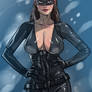 Dark Knight Rise's Catwoman