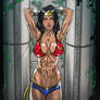 Wonder Woman - SFW