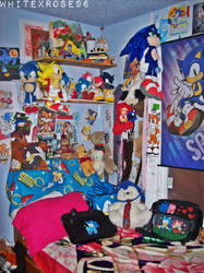 My Sonic Room~