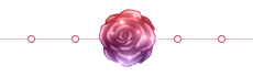 Rose Divider - Night Rose 1 - Large - Sparkles