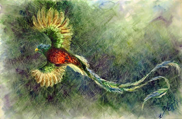 Quetzal